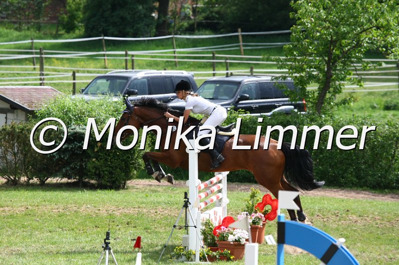 105M4515_Gorch Fock_Spring_M.JPG